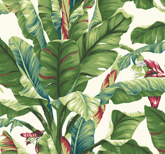 Banana Leaf Aqua & Red Wallpaper by York Wallcoverings Designer Earthy Tones Covers about 60.8 square feet 27-in by 27-ft long roll Prepasted 25.25 - Swanky Fabrics - Banana Leaf Aqua & Red Wallpaper by York Wallcoverings Designer Earthy Tones Covers about 60.8 square feet 27-in by 27-ft long roll Prepasted 25.25 - Swanky Fabrics -