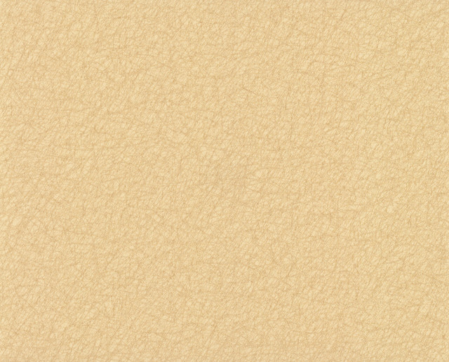 Tossed Fibers Tan Wallpaper by 750 Home Designer Color Library II Covers about 57.8 square feet 21-in by 33-ft long roll Unpasted 0 - Swanky Fabrics -