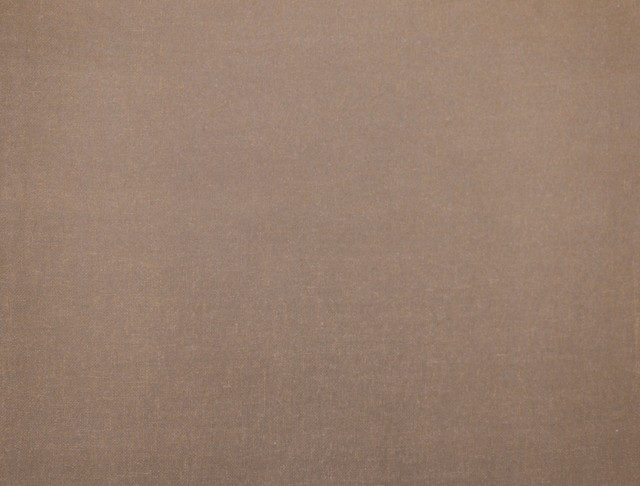 Habitat Gold Wallpaper by Candice Olson Designer Candice Olson Natural Splendor Covers about 72 square feet 36-in by 24-ft long roll Unpasted 0 - Swanky Fabrics - Habitat Gold Wallpaper by Candice Olson Designer Candice Olson Natural Splendor Covers about 72 square feet 36-in by 24-ft long roll Unpasted 0 - Swanky Fabrics -