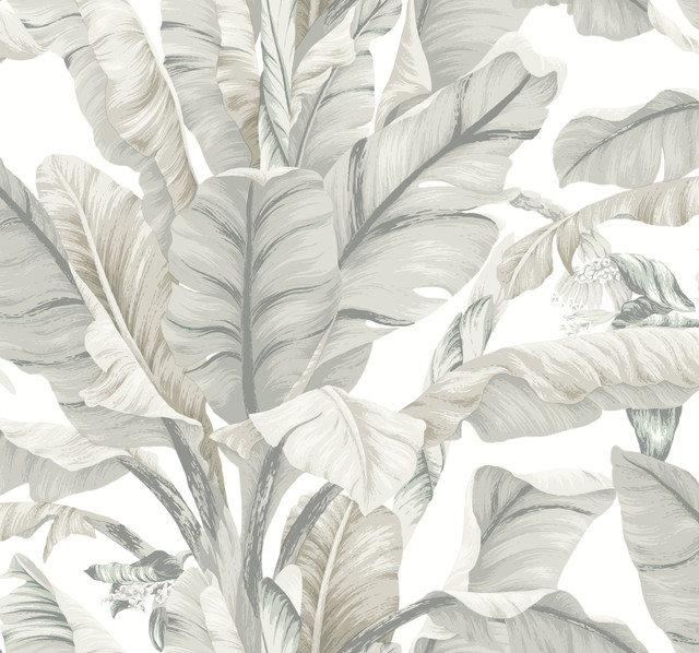 Banana Leaf White & Cream Wallpaper by Inspired by Color Designer Black & White Resource Library Covers about 60.8 square feet 27-in by 27-ft long roll Prepasted 25.25 - Swanky Fabrics - Banana Leaf White & Cream Wallpaper by Inspired by Color Designer Black & White Resource Library Covers about 60.8 square feet 27-in by 27-ft long roll Prepasted 25.25 - Swanky Fabrics -