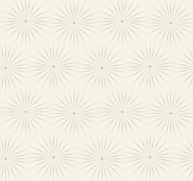 Starlight White & Silver Wallpaper by Antonina Vella Designer Antonina Vella Boho Luxe Covers about 60.8 square feet 27-in by 27-ft long roll Unpasted 25.25 - Swanky Fabrics - Starlight White & Silver Wallpaper by Antonina Vella Designer Antonina Vella Boho Luxe Covers about 60.8 square feet 27-in by 27-ft long roll Unpasted 25.25 - Swanky Fabrics -
