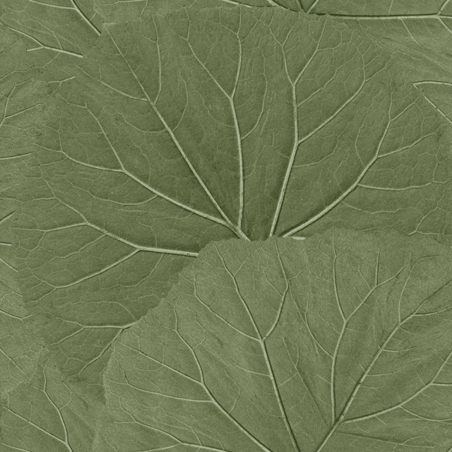 Xylem Olive Large Leaves Wallpaper by ESTA Home Designer Design Department Covers about 57.5 square feet 20.9-in by 33-ft long roll Unpasted 20.9 - Swanky Fabrics - Xylem Olive Large Leaves Wallpaper by ESTA Home Designer Design Department Covers about 57.5 square feet 20.9-in by 33-ft long roll Unpasted 20.9 - Swanky Fabrics -