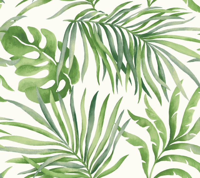 Paradise Palm Green Peel & Stick Wallpaper by Candice Olson Designer Simply Candice Covers about 45 square feet 27-in by 20-ft long roll Peel & Stick 24 - Swanky Fabrics - Paradise Palm Green Peel & Stick Wallpaper by Candice Olson Designer Simply Candice Covers about 45 square feet 27-in by 20-ft long roll Peel & Stick 24 - Swanky Fabrics -