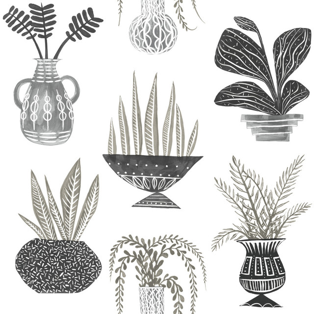 Plant Party Black Peel & Stick Wallpaper by York Wallcoverings Designer York Premium Peel + Stick Risky Business Vol. III Covers about 34.2 square feet 20.5-in by 20-ft long roll Peel & Stick 20.5 - Swanky Fabrics - Plant Party Black Peel & Stick Wallpaper by York Wallcoverings Designer York Premium Peel + Stick Risky Business Vol. III Covers about 34.2 square feet 20.5-in by 20-ft long roll Peel & Stick 20.5 - Swanky Fabrics -