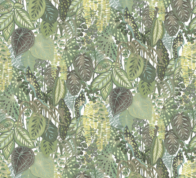 Greenery Cotton Wall Mural by York Wallcoverings Designer Greenhouse Covers 5 panels - measures 11.25-ft wide by 10.2-ft tall when assembled 27-in by 10.2-ft long roll Unpasted 0 - Swanky Fabrics - Greenery Cotton Wall Mural by York Wallcoverings Designer Greenhouse Covers 5 panels - measures 11.25-ft wide by 10.2-ft tall when assembled 27-in by 10.2-ft long roll Unpasted 0 - Swanky Fabrics -