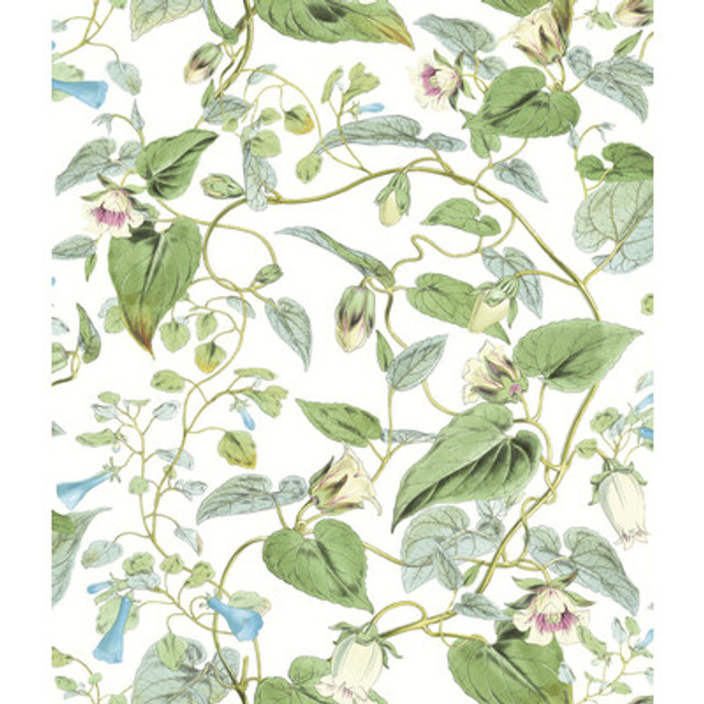 Kravet Design - Wallcovering - W4132.31.0 - Wallcovering - NON WOVEN - 100% - United States </p><p>Repeat: H: , V: 27.5 21 - My Fabric Connection -