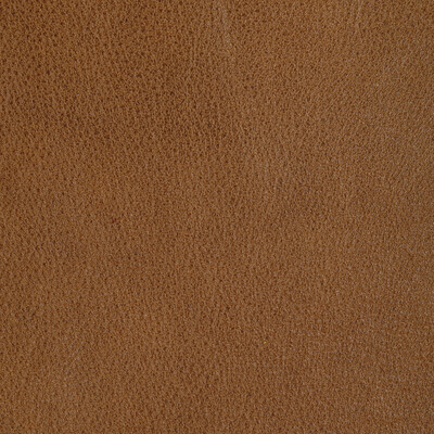 Kravet Design - Upholstery - L-REIN.CHAI.0 - Upholstery - LEATHER - 100% - Italy </p><p>Repeat: H: , V: 27.5 21 - My Fabric Connection -