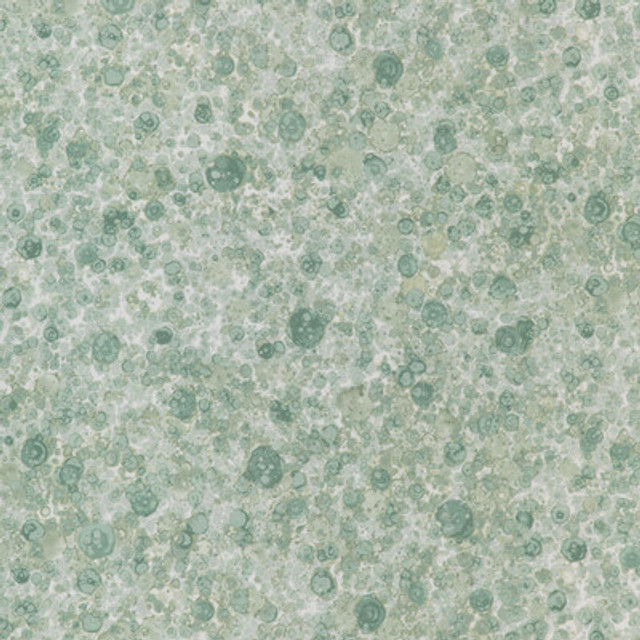 Kravet Basics - Multipurpose - FIZZLED.23.0 - Multipurpose - COTTON - 100% - Pakistan </p><p>Repeat: H: , V: 27.5 21 - My Fabric Connection -