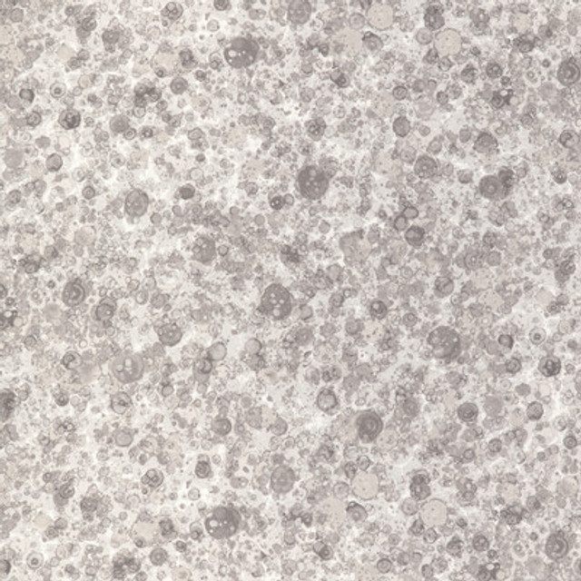 Kravet Basics - Multipurpose - FIZZLED.1101.0 - Multipurpose - COTTON - 100% - Pakistan </p><p>Repeat: H: , V: 27.5 21 - My Fabric Connection -