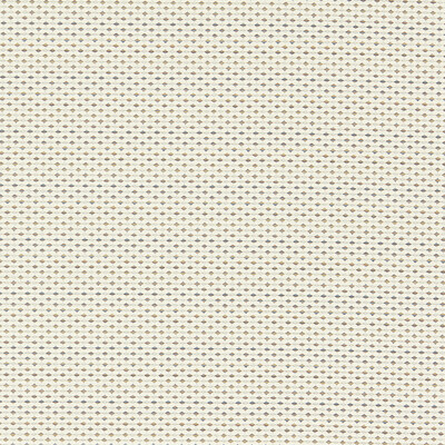 Clarke And Clarke - Upholstery - F1620/03.CAC.0 - Upholstery - POLYESTER - 82%;COTTON - 18% - Turkiye </p><p>Repeat: H: , V: 27.5 21 - My Fabric Connection -