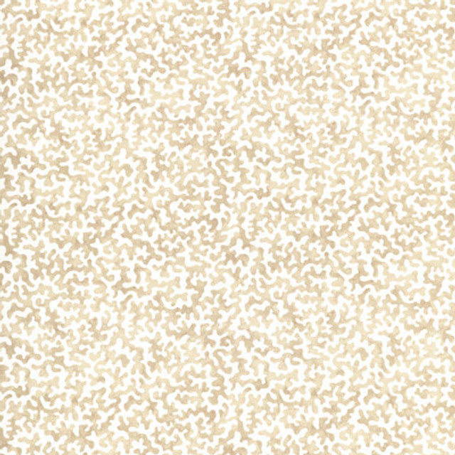Kravet Basics - Multipurpose - CORALCOAST.161.0 - Multipurpose - COTTON - 100% - Pakistan </p><p>Repeat: H: , V: 27.5 21 - My Fabric Connection -