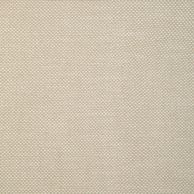 Kravet Smart - Upholstery - 36999.116.0 - Upholstery - HIGH UV POLYESTER - 100% - India </p><p>Repeat: H: , V: 27.5 21 - My Fabric Connection -