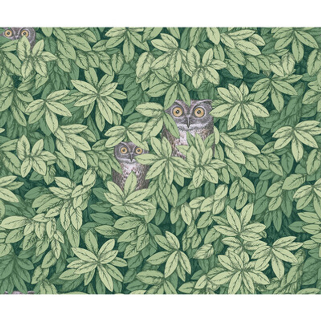 Cole & Son - Wallcovering - 123/11054.CS.0 - Wallcovering - NON WOVEN - 100% - United Kingdom </p><p>Repeat: H: , V: 27.5 21 - My Fabric Connection -