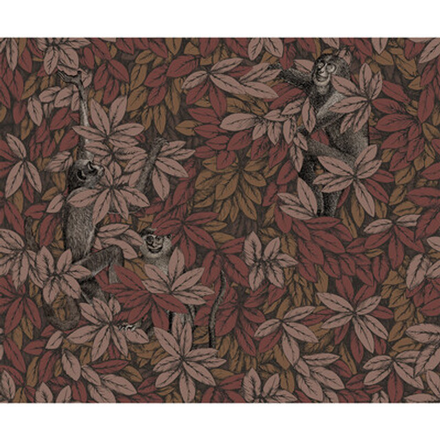 Cole & Son - Wallcovering - 123/10050.CS.0 - Wallcovering - NON WOVEN - 100% - United Kingdom </p><p>Repeat: H: , V: 27.5 21 - My Fabric Connection -