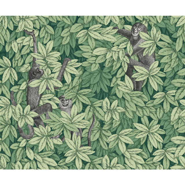 Cole & Son - Wallcovering - 123/10049.CS.0 - Wallcovering - NON WOVEN - 100% - United Kingdom </p><p>Repeat: H: , V: 27.5 21 - My Fabric Connection -