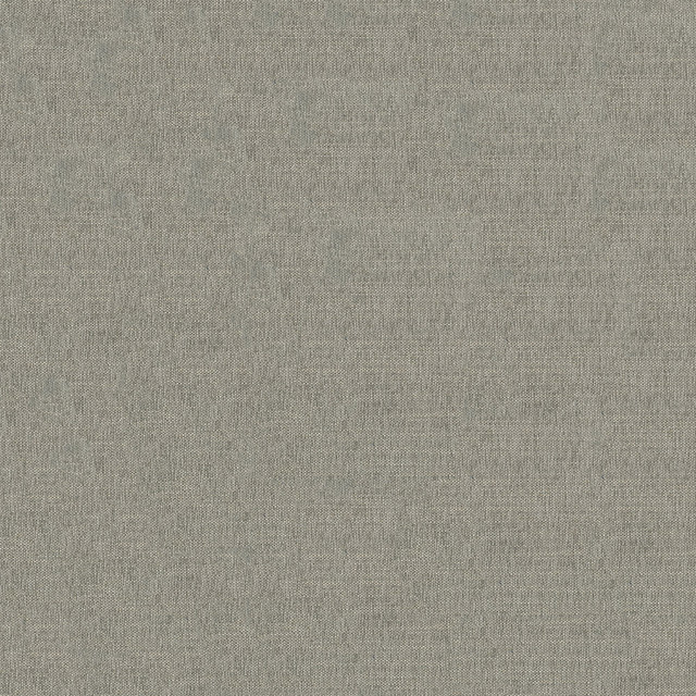 Crypton Aida # 707 Lichen by Maxwell Designer Fabric Crypton Ringsets 95% POLYESTER
5% LINEN CHINA 55" - Swanky Fabrics -