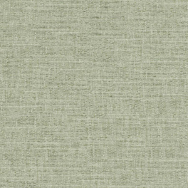 Tambo # 519 Jade by Maxwell Designer Fabric PURE & SIMPLE XVII 58% COTTON
42% POLYESTER INDIA 54" - Swanky Fabrics - Tambo # 519 Jade by Maxwell Designer Fabric PURE & SIMPLE XVII 58% COTTON
42% POLYESTER INDIA 54" - Swanky Fabrics -