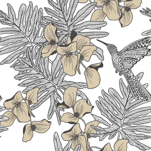 Hummingbird (Wp) # 06 Jet by 1838 Wallcoverings Designer Wallpaper AURORA STRAIGHT PASTE THE WALL UNITED KINGDOM V-21" 20.5"X11YD - Swanky Fabrics - Hummingbird (Wp) # 06 Jet by 1838 Wallcoverings Designer Wallpaper AURORA STRAIGHT PASTE THE WALL UNITED KINGDOM V-21" 20.5"X11YD - Swanky Fabrics -