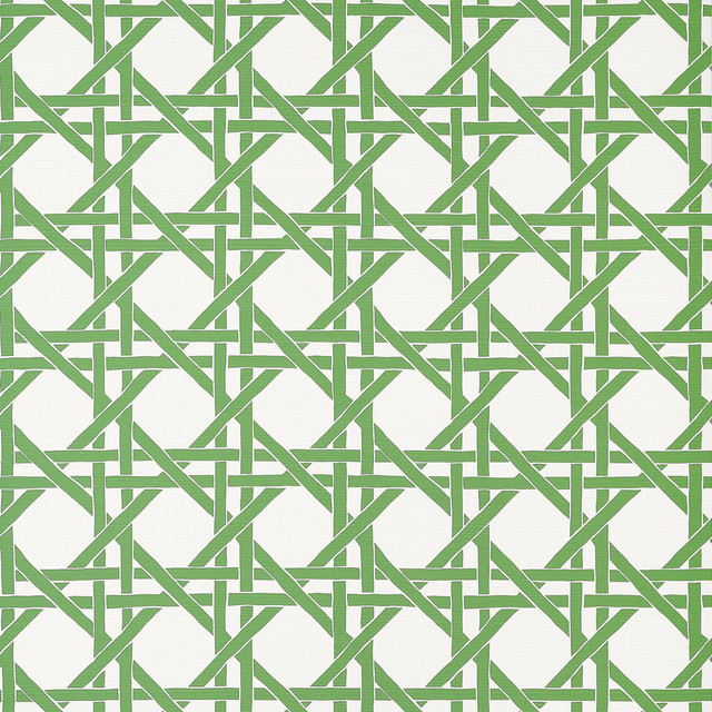Canary Trellis Green T15819  by Thibaut Wallpaper Thibaut Wallpaper Canary Trellis Green T15819 Wallpaper ISLANDER Non-Woven Vinyl Wallpaper  U.S.A </p><p>Repeat: H: , V: 9  (22.86 cm) 27 in  (68.58 cm) - Fabric Carolina -