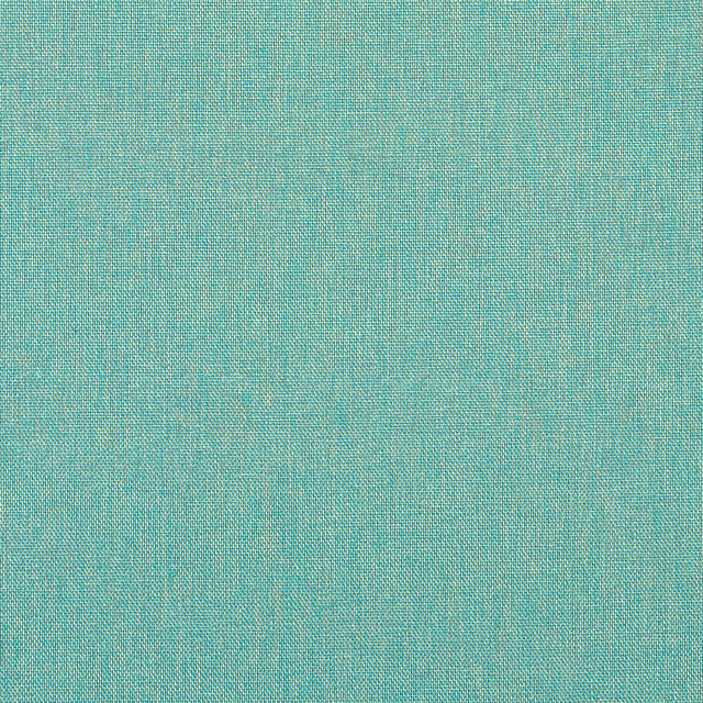 Palmer Caribbean W81753  by Thibaut Fabric Thibaut Fabric Palmer Caribbean W81753 Fabric SOLEIL TEXTURES U.S.A </p><p>Repeat: H: , V: 0 (0.00 cm) 53 in  (134.62 cm) - Fabric Carolina -