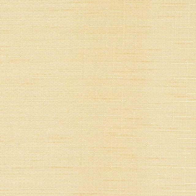 Banksville Manila by Carole Designer Fabric Power Play 100% Polyester 24,000 Wyzenbeek Double Rubs None 54" - Swanky Fabrics -