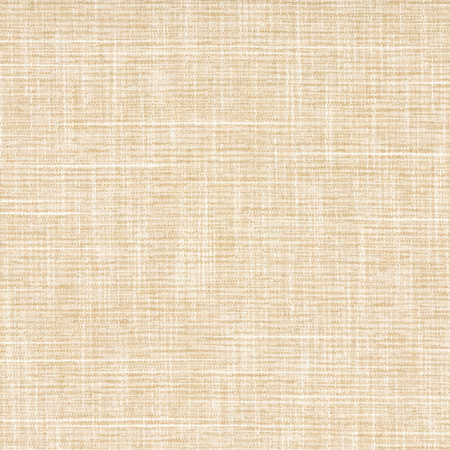 Big Thinker Raffia by Carole Designer Fabric Power Play 100% Polyester N/A None 55" - Swanky Fabrics - Big Thinker Raffia by Carole Designer Fabric Power Play 100% Polyester N/A None 55" - Swanky Fabrics -
