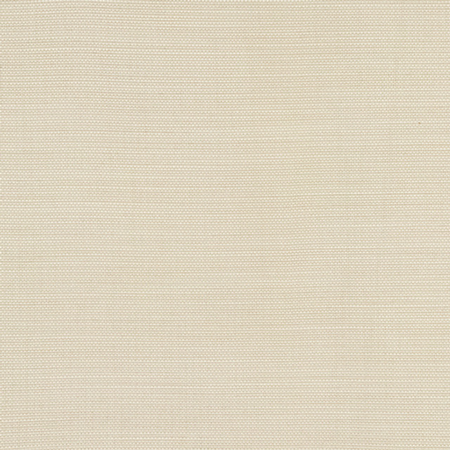 Boardroom Cotton by Carole Designer Fabric Power Play 100% IFR Hybrid Polyester 25,000 Wyzenbeek Double Rubs None 54" - Swanky Fabrics -