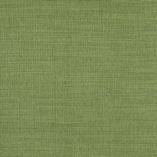 Boardroom Kelp by Carole Designer Fabric Power Play 100% IFR Hybrid Polyester 25,000 Wyzenbeek Double Rubs None 54" - Swanky Fabrics -