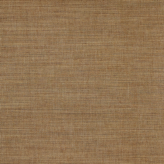 Boardroom Trail by Carole Designer Fabric Power Play 100% IFR Hybrid Polyester 25,000 Wyzenbeek Double Rubs None 54" - Swanky Fabrics -