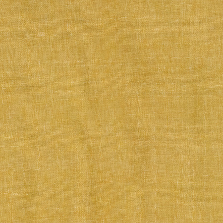 Business Casual Flora by Carole Designer Fabric Power Play 100% Polyester 100,000 Wyzenbeek Double Rubs None 54" - Swanky Fabrics -