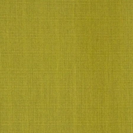 Intention Pickle by Carole Designer Fabric Power Play 100% Polyester 25,000 Wyzenbeek Double Rubs None 54" - Swanky Fabrics -