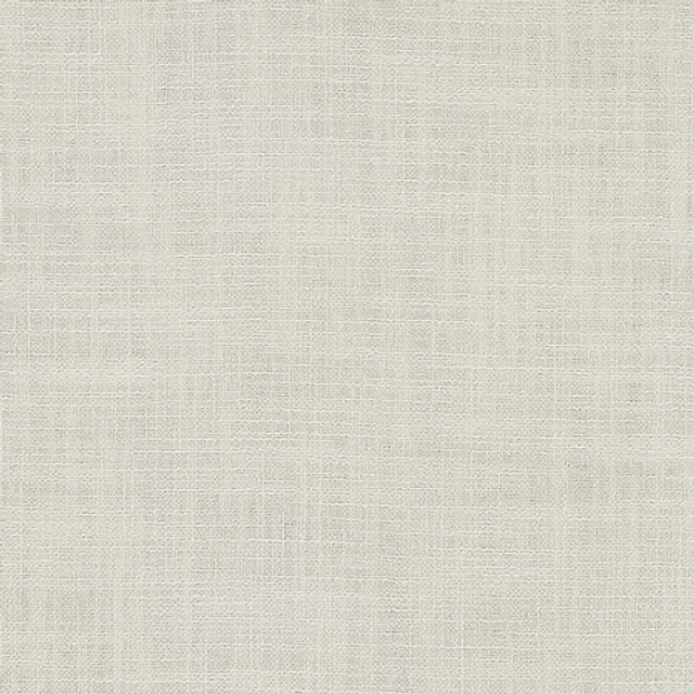 Resourceful Ecru by Carole Designer Fabric Reclamation 77% Recycled Polyester, 23% Polyester 12,000 Martindale Circular Rubs None 55" - Swanky Fabrics -