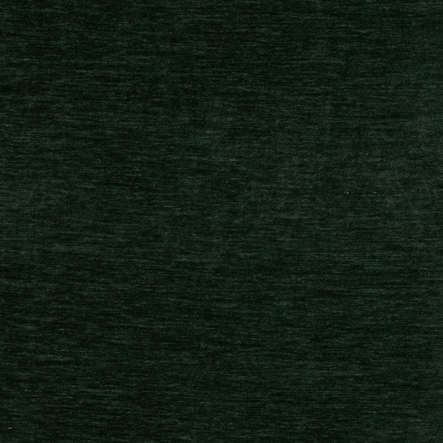 D4711 Spruce by Charlotte Designer Fabric Luxe Velvet II 100% Polyester Asia Exceeds 120,000 Wyzenbeek Rubs (Heavy Duty) No Repeat 54 Inches - Swanky Fabrics -