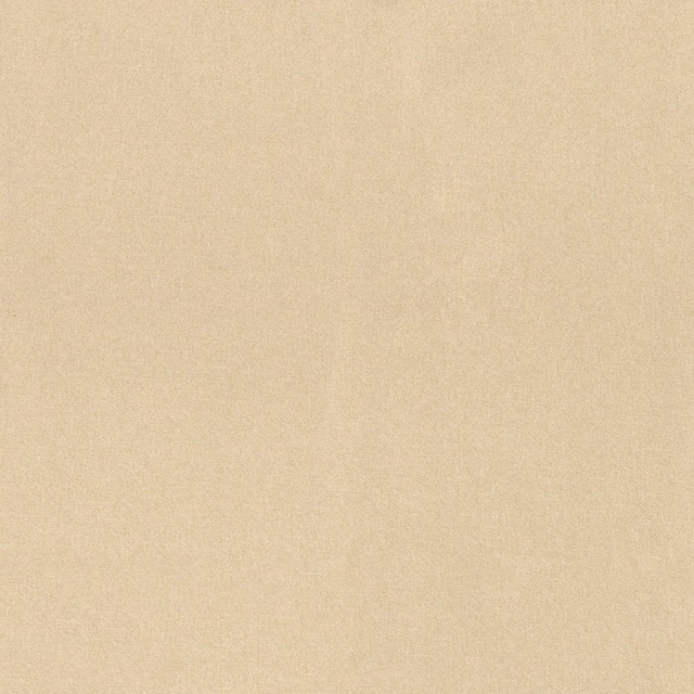 F5789 Cream by Greenhouse Designer Fabric - 100% Polyester China 100000 None 56" - Swanky Fabrics -