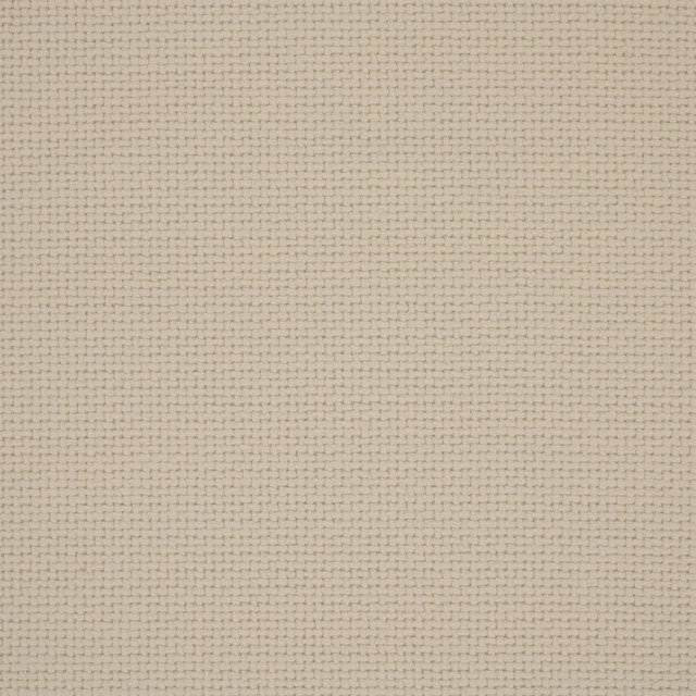 F6103 Snow by Greenhouse Designer Fabric - 100% Polyester China 50000 None 54" - Swanky Fabrics -