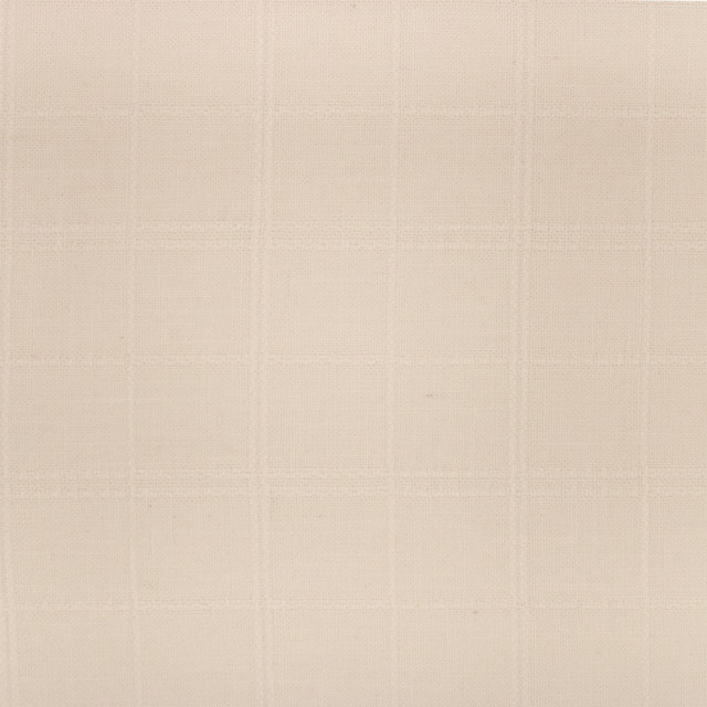 F6013 Blanco by Greenhouse Designer Fabric - 55% Polyester, 35% Rayon, 10% Linen China 15000 9.5" H, 9.5" V 56" - Swanky Fabrics -
