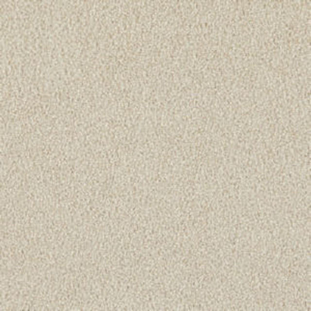 Bonaire Oat by Norbar Designer Fabric LISBON 100% POLYESTER CHINA 54 - Swanky Fabrics - Bonaire Oat by Norbar Designer Fabric LISBON 100% POLYESTER CHINA 54 - Swanky Fabrics -