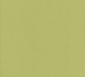 Luxor Celery by Norbar Designer Fabric LUXOR 100% COMBED COTTON INDIA 54 - Swanky Fabrics -