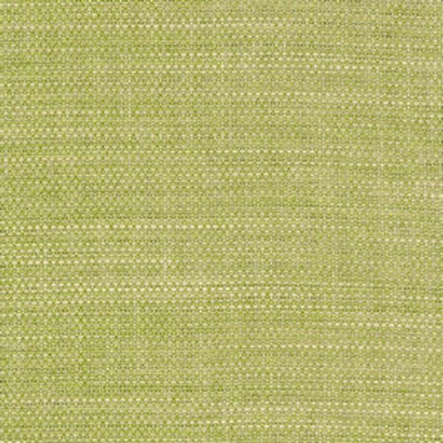 Wade Spring 52 by Norbar Designer Fabric OKIN 100% POLYESTER NORTH AMERICA 54 - Swanky Fabrics - Wade Spring 52 by Norbar Designer Fabric OKIN 100% POLYESTER NORTH AMERICA 54 - Swanky Fabrics -