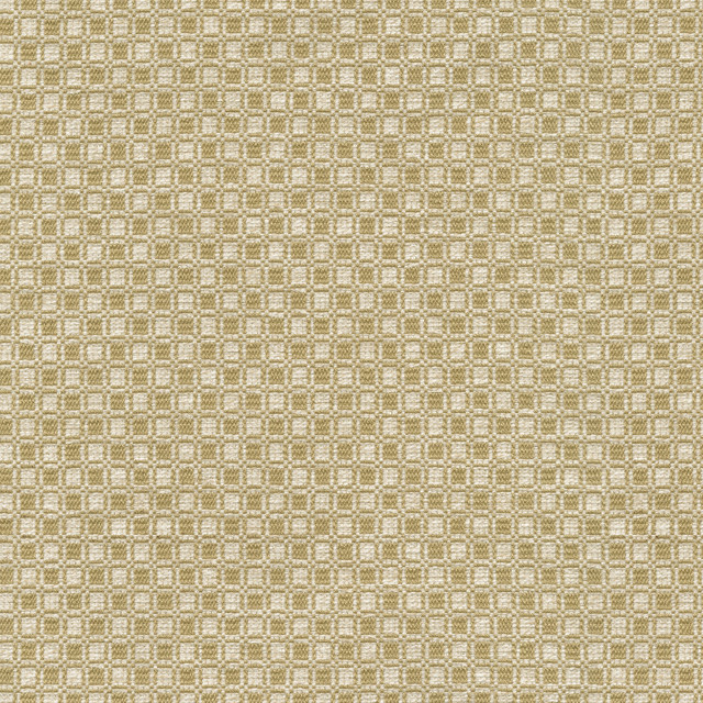 Outside the Box Gold 472213 by PK Lifestyles Designer Fabric Expressionist VI 74% Polyester, 26% Cotton India 51000 H: 1, V: 0.875 54 - Swanky Fabrics -