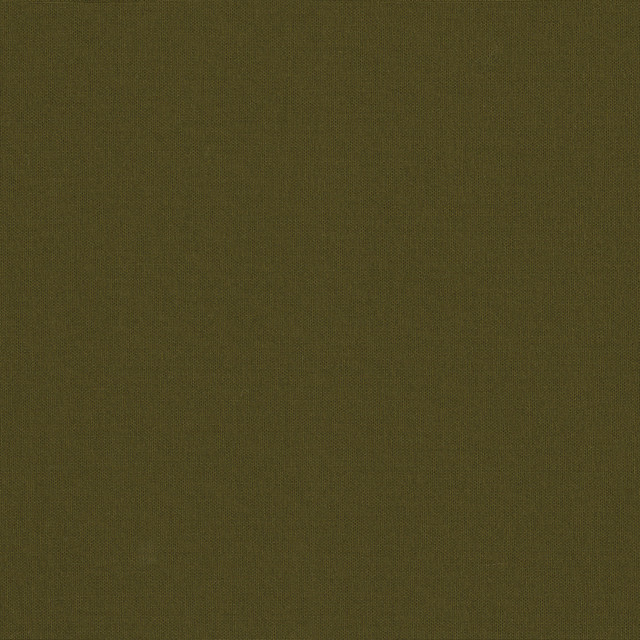 Belcourt Pyrite 472718 by PK Lifestyles Designer Fabric PKL Studio June 2025 52% Fire Retardant Polyester, 48% Polyester Turkey 18000 H: N/A, V: N/A 57 - Swanky Fabrics -
