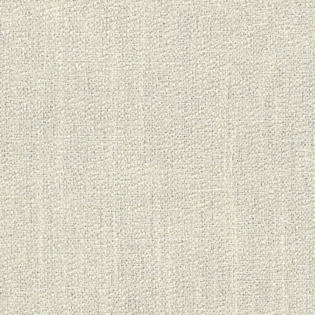 Caleb Sheer Cream 472362 by PK Lifestyles Designer Fabric Portiere VI 71% Polyester, 29% Cotton India N/A H: N/A, V: N/A 118 - Swanky Fabrics - Caleb Sheer Cream 472362 by PK Lifestyles Designer Fabric Portiere VI 71% Polyester, 29% Cotton India N/A H: N/A, V: N/A 118 - Swanky Fabrics -