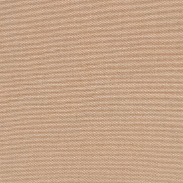 Canvas Raffia 14107-0000 by Sunbrella Designer Fabric 100% Sunbrella® Acrylic 45000 Horizontal: and Vertical: 54 in. - Swanky Fabrics -