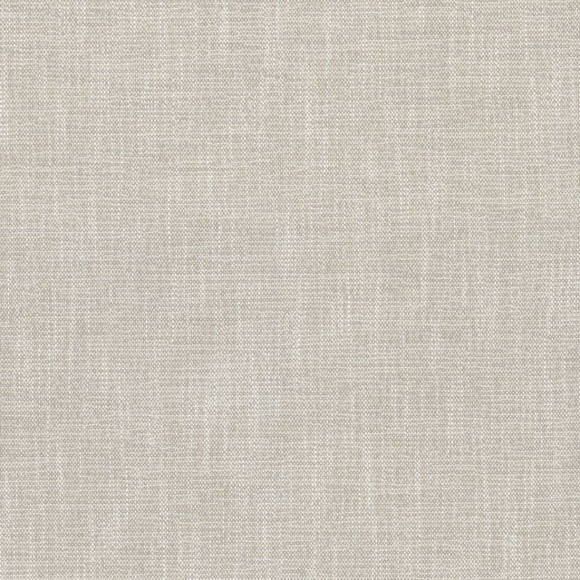 Capri Puka Shell by RM CoCo Designer Fabric Island Breeze II InsideOut Performance 96.26% Polyester UV 3.74% PCR Polyester UV See Sample 63000 Horizontal: 0.13 and Vertical: 0.13 55.25 - Swanky Fabrics -