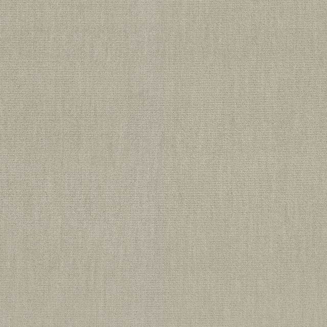 Soleil Performance Velvet Thatch by RM CoCo Designer Fabric Soleil Performance Velvet 100% Solution Dyed Acrylic See Sample 100000 Horizontal: 0 and Vertical: 0 56 - Swanky Fabrics -