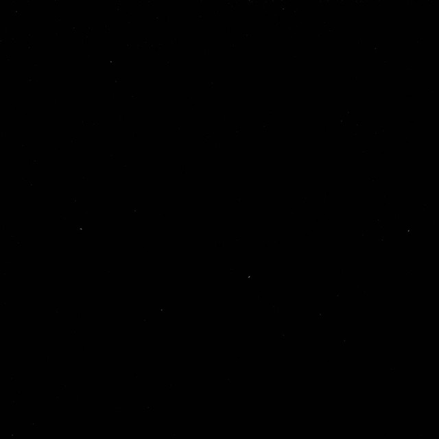 Villa Black by RM CoCo Designer Fabric Villa 100% Polyester See Sample 30000 Horizontal: 0 and Vertical: 0 57 - Swanky Fabrics -