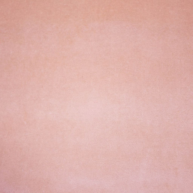 Deluxe Cotton Velvet Blush by RM CoCo Designer Fabric Deluxe II 100% Cotton Face 100% Polyester Backing See Sample 100000 Horizontal: 0 and Vertical: 0 54 - Swanky Fabrics -