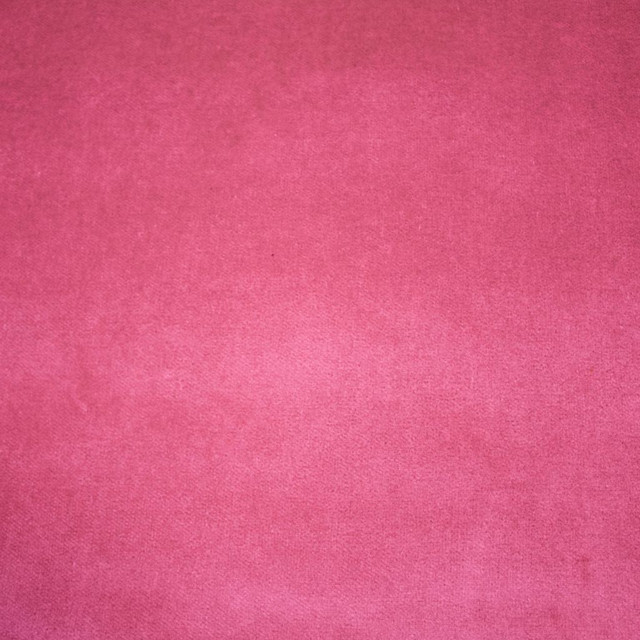 Deluxe Cotton Velvet Begonia by RM CoCo Designer Fabric Deluxe II 100% Cotton Face 100% Polyester Backing See Sample 100000 Horizontal: 0 and Vertical: 0 54 - Swanky Fabrics -