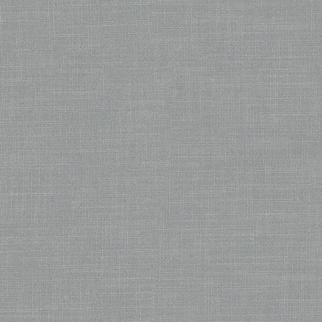 Martina # 137 Slate by Maxwell Designer Fabric Wide Width Basics Iii 100% POLYESTER INDIA 118" - Swanky Fabrics -