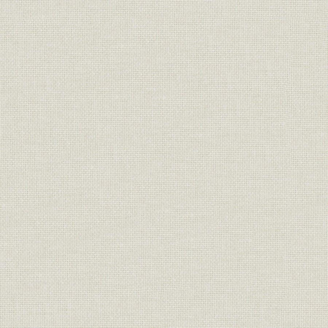 Valentina # 101 Meringue by Maxwell Designer Fabric Wide Width Basics Iii 100% RECYCLED POLYESTER INDIA 118" - Swanky Fabrics -